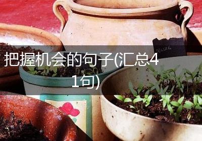 把握机会的句子(汇总41句)