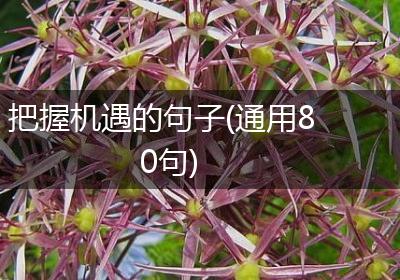 把握机遇的句子(通用80句)