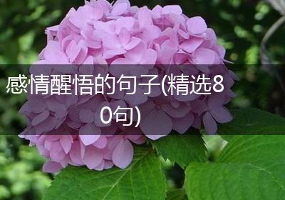 感情醒悟的句子(精选80句)