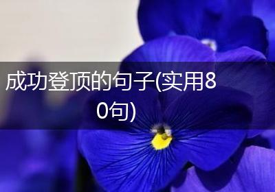 成功登顶的句子(实用80句)
