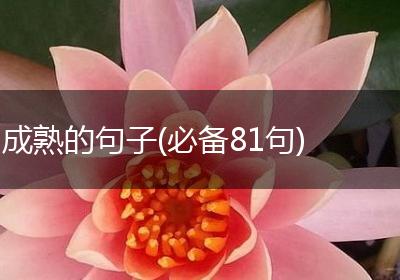 成熟的句子(必备81句)