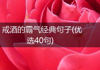 戒酒的霸气经典句子(优选40句)