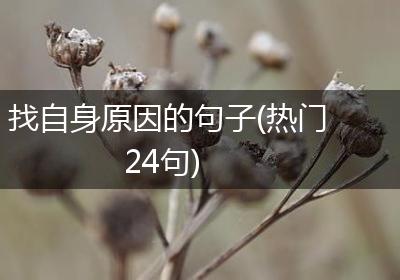 找自身原因的句子(热门24句)