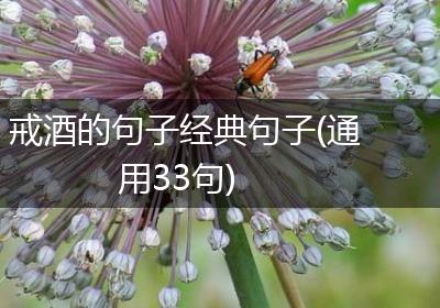 戒酒的句子经典句子(通用33句)