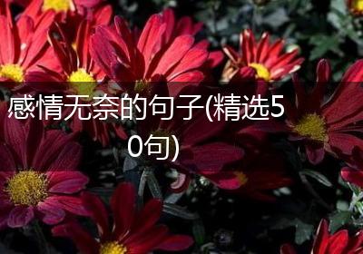 感情无奈的句子(精选50句)