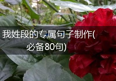 我姓段的专属句子制作(必备80句)