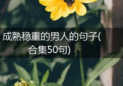 成熟稳重的男人的句子(合集50句)