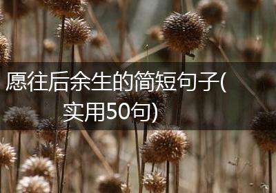 愿往后余生的简短句子(实用50句)