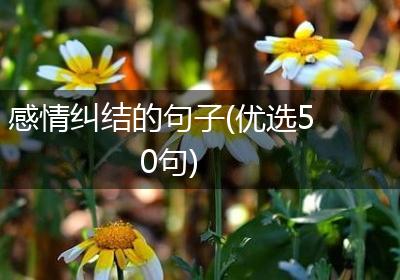 感情纠结的句子(优选50句)