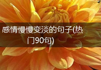 感情慢慢变淡的句子(热门90句)