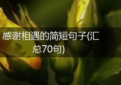 感谢相遇的简短句子(汇总70句)