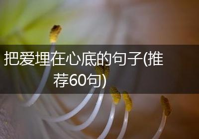 把爱埋在心底的句子(推荐60句)
