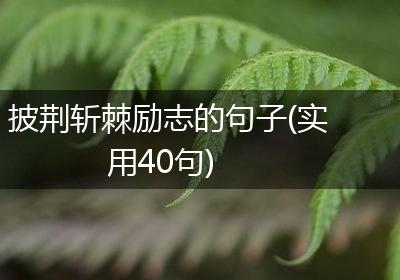 披荆斩棘励志的句子(实用40句)