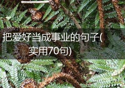 把爱好当成事业的句子(实用70句)