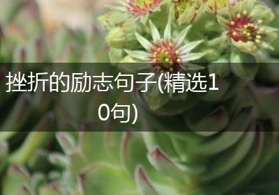 挫折的励志句子(精选10句)