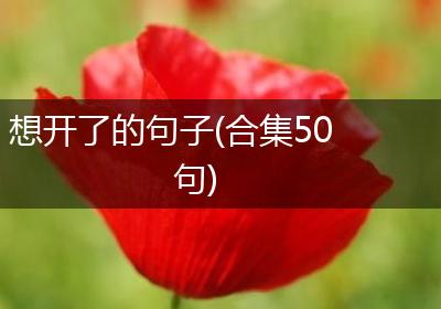 想开了的句子(合集50句)