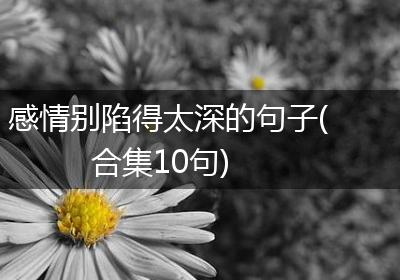 感情别陷得太深的句子(合集10句)