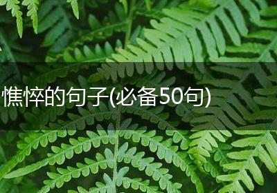 憔悴的句子(必备50句)