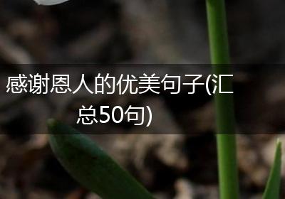 感谢恩人的优美句子(汇总50句)