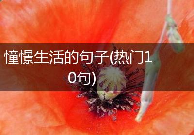 憧憬生活的句子(热门10句)
