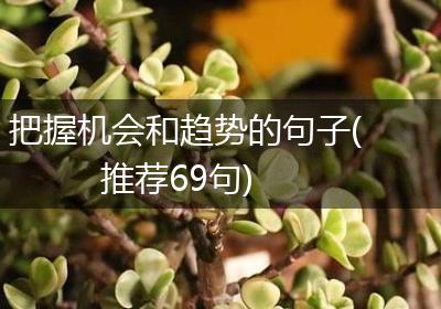 把握机会和趋势的句子(推荐69句)
