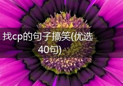 找cp的句子搞笑(优选40句)