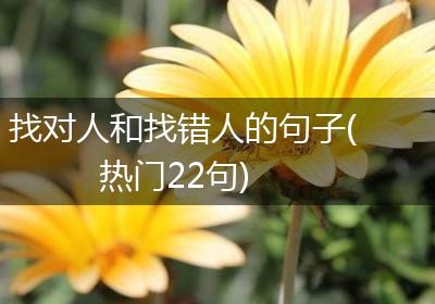 找对人和找错人的句子(热门22句)