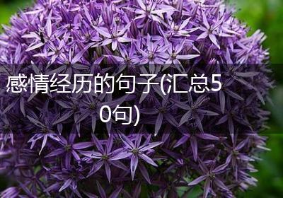 感情经历的句子(汇总50句)