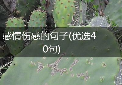 感情伤感的句子(优选40句)