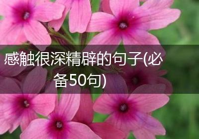 感触很深精辟的句子(必备50句)