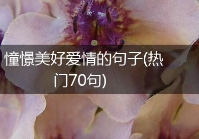 憧憬美好爱情的句子(热门70句)