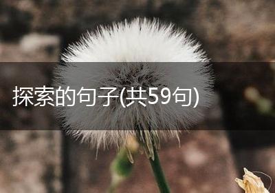 探索的句子(共59句)