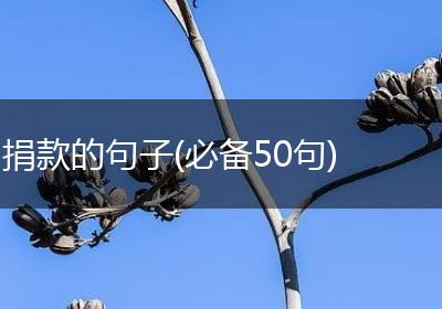 捐款的句子(必备50句)