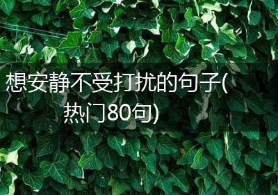 想安静不受打扰的句子(热门80句)