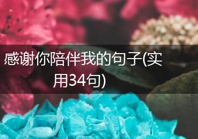 感谢你陪伴我的句子(实用34句)