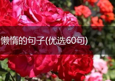 懒惰的句子(优选60句)