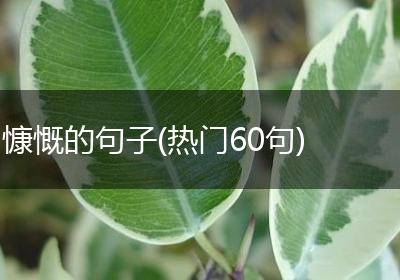 慷慨的句子(热门60句)