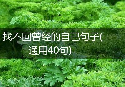 找不回曾经的自己句子(通用40句)
