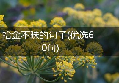 拾金不昧的句子(优选60句)