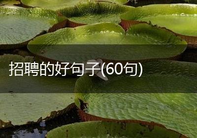 招聘的好句子(60句)