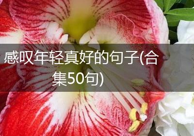 感叹年轻真好的句子(合集50句)