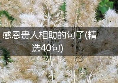 感恩贵人相助的句子(精选40句)