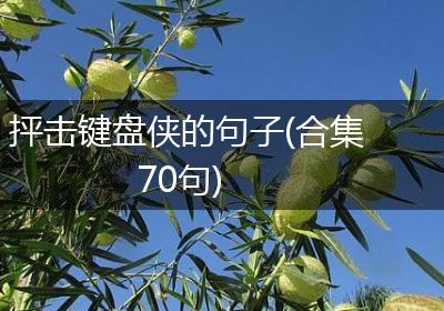 抨击键盘侠的句子(合集70句)