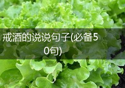 戒酒的说说句子(必备50句)