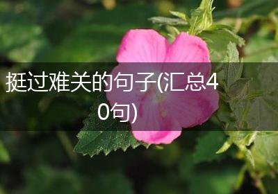 挺过难关的句子(汇总40句)