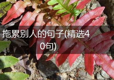 拖累别人的句子(精选40句)