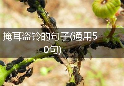 掩耳盗铃的句子(通用50句)