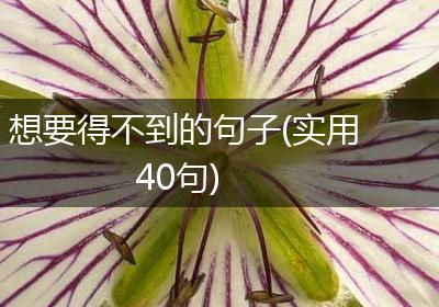 想要得不到的句子(实用40句)