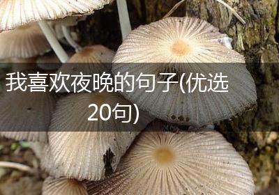 我喜欢夜晚的句子(优选20句)