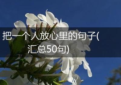 把一个人放心里的句子(汇总50句)